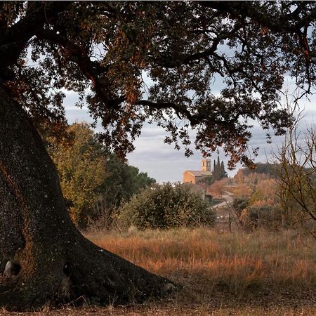 Apartamento Cal Moliner De Castelladral Exterior foto